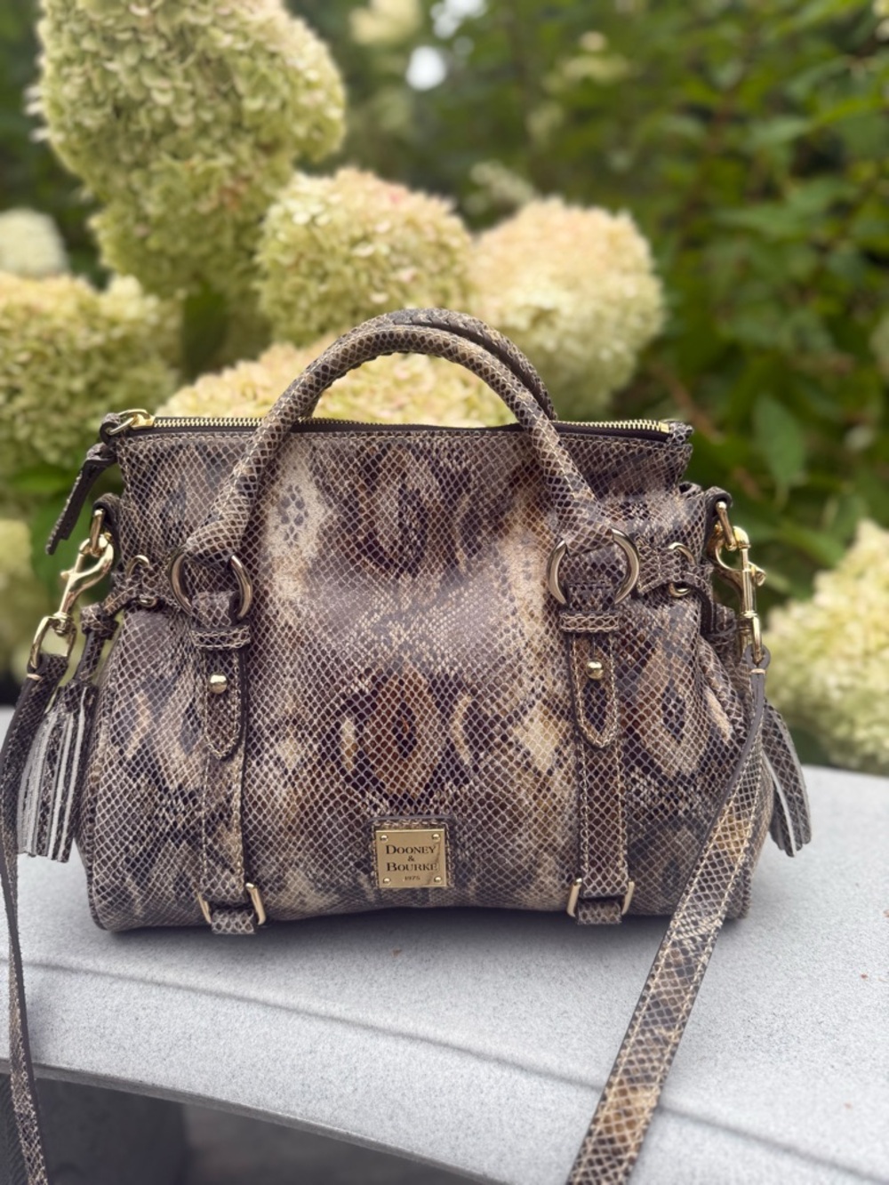Dooney & Bourke Exclusive Snakeskin Satchel in excellent condition